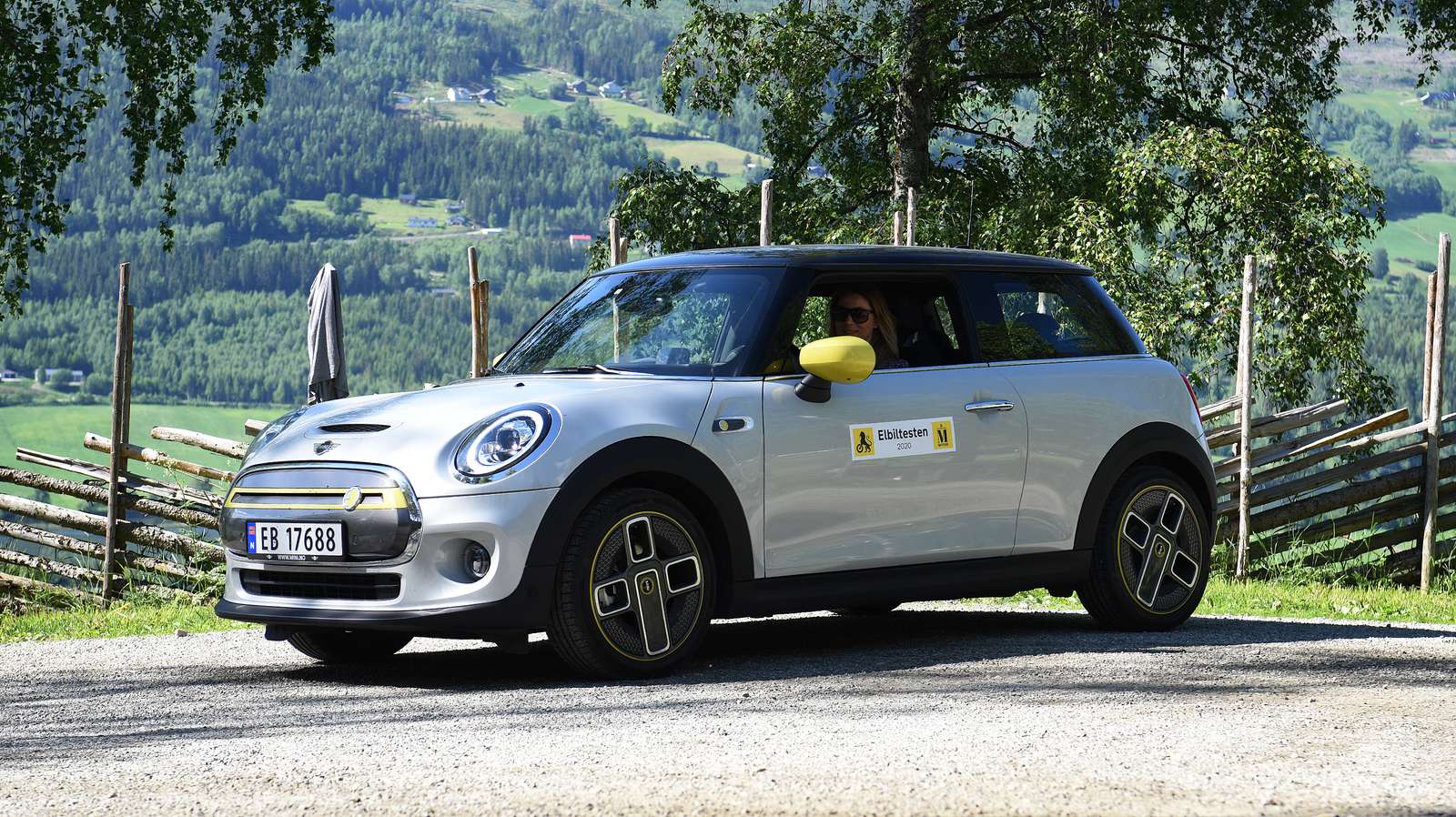 Mini store electric pris